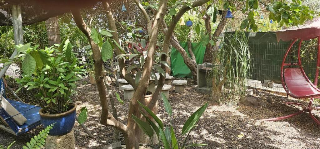 נופש דביר - סוויטות מהממות ובקתה כפרית עם ג'קוזי ליד הכנרת - יש מקלט צמוד Vila Migdal Quarto foto